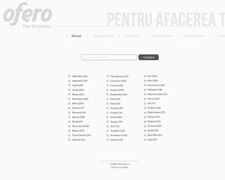 Portofoliu Web Design